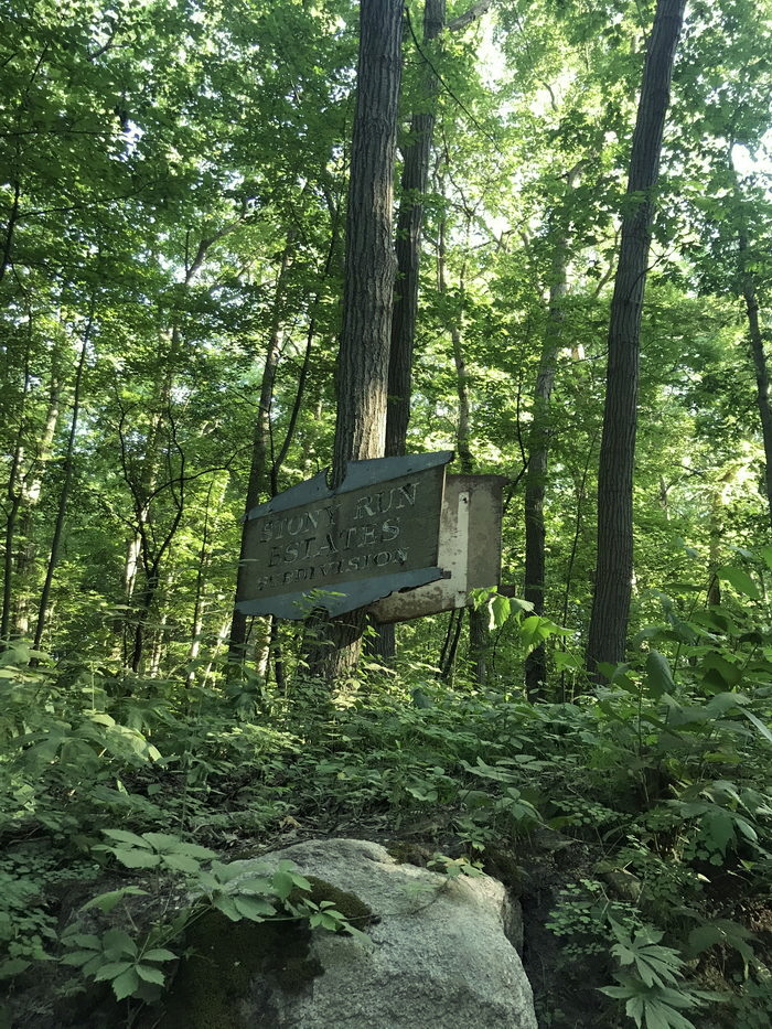Stony Run - July 2020 Photo (newer photo)